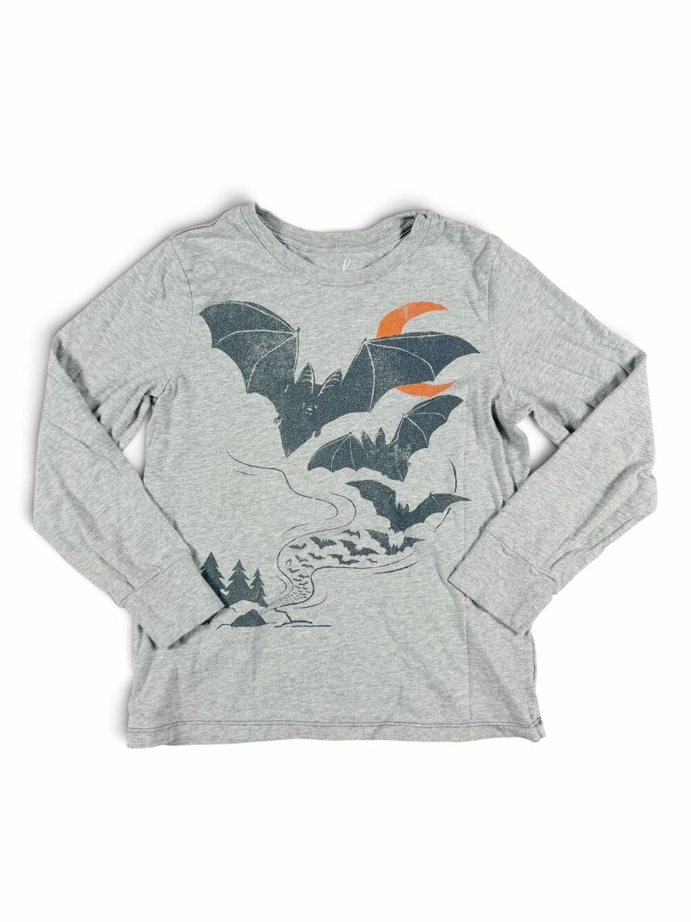 Peek Kids Bat Graphic Long Sleeve Shirt Gray Halloween Size 8